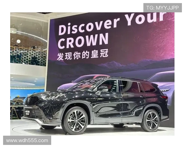 探索皇冠平台的多样化功能与用户体验