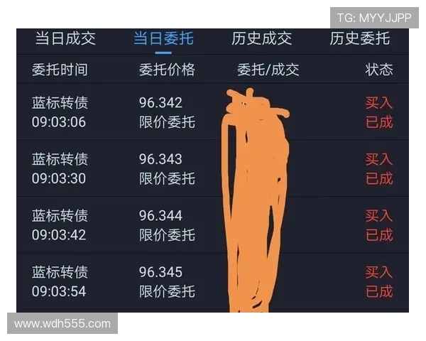赌现金信誉的重要性及其对玩家体验的影响分析